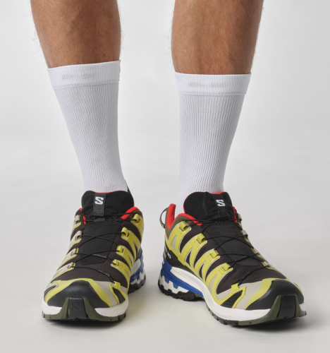 Salomon XA PRO 3D V9 terepfutócipő