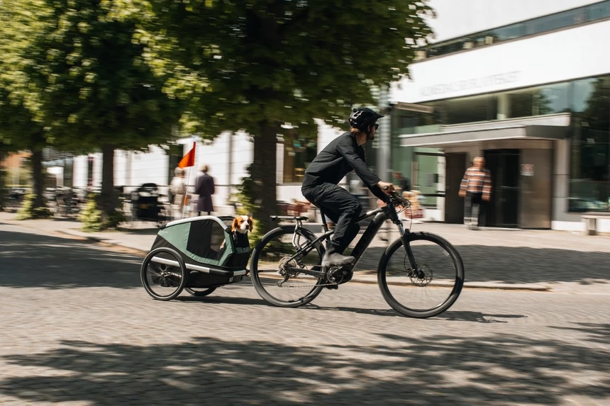 Fahrradanhänger für Hunde Thule Bexey